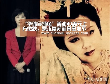 华体会真人娱乐中心